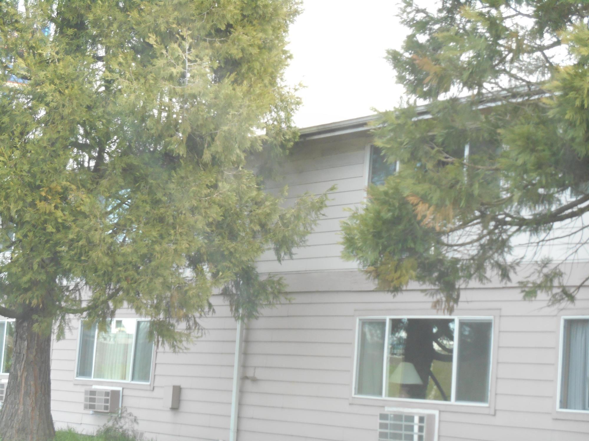 Guesthouse Inn & Suites Eugene/Σπρίνγκφιλντ Εξωτερικό φωτογραφία