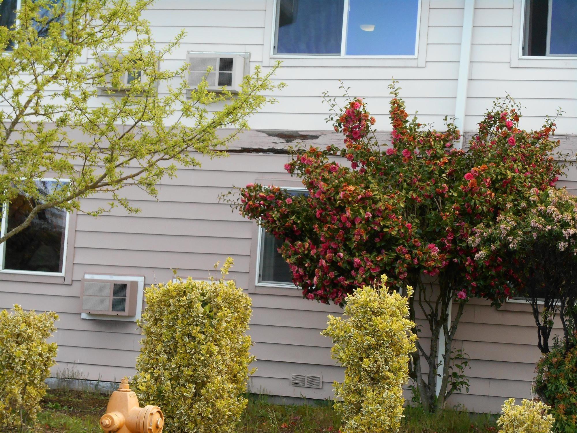 Guesthouse Inn & Suites Eugene/Σπρίνγκφιλντ Εξωτερικό φωτογραφία
