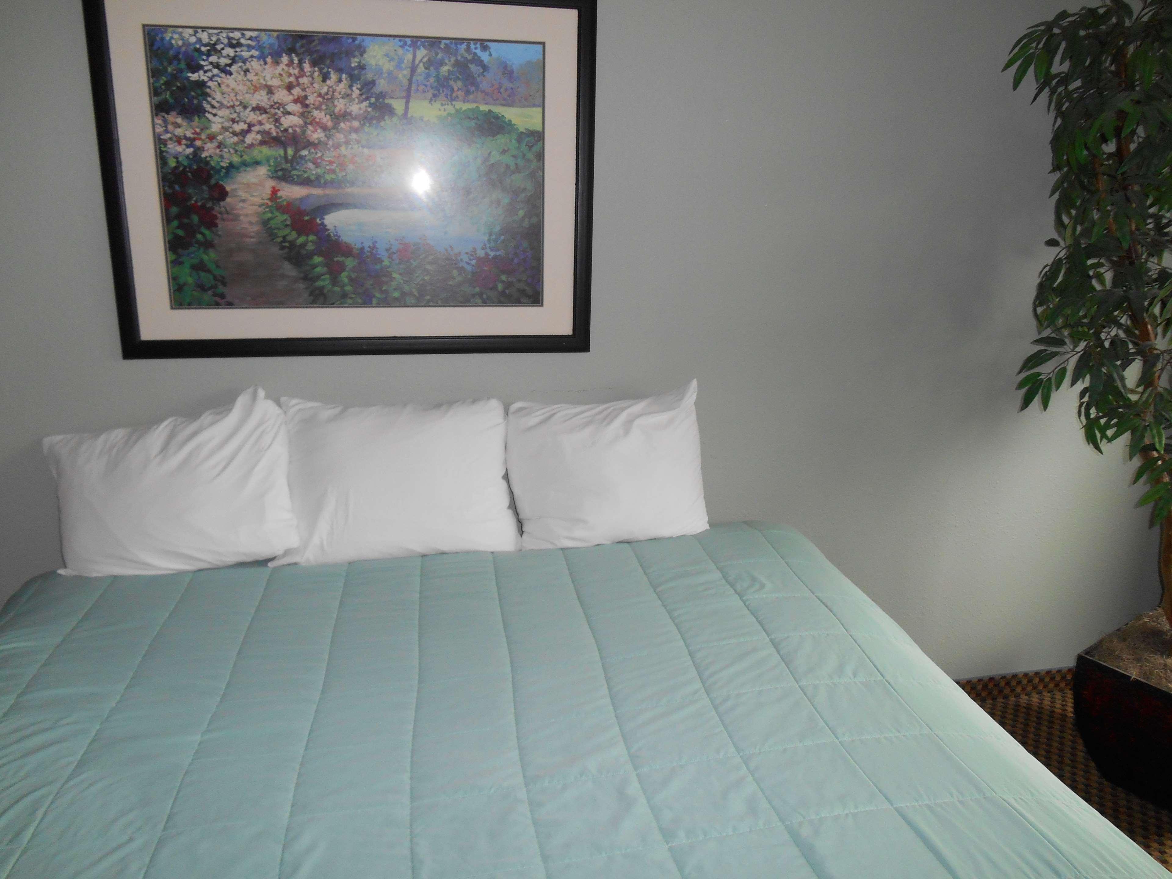 Guesthouse Inn & Suites Eugene/Σπρίνγκφιλντ Εξωτερικό φωτογραφία